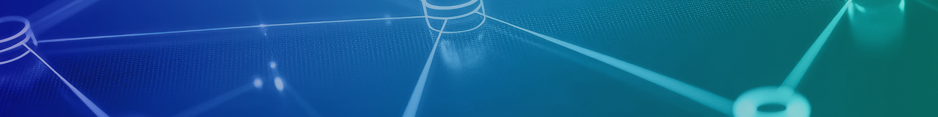 Page Banner